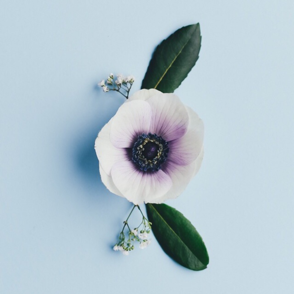 Meet your Posher, Arely